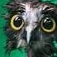 Justawetbird