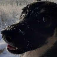 snowinmars
